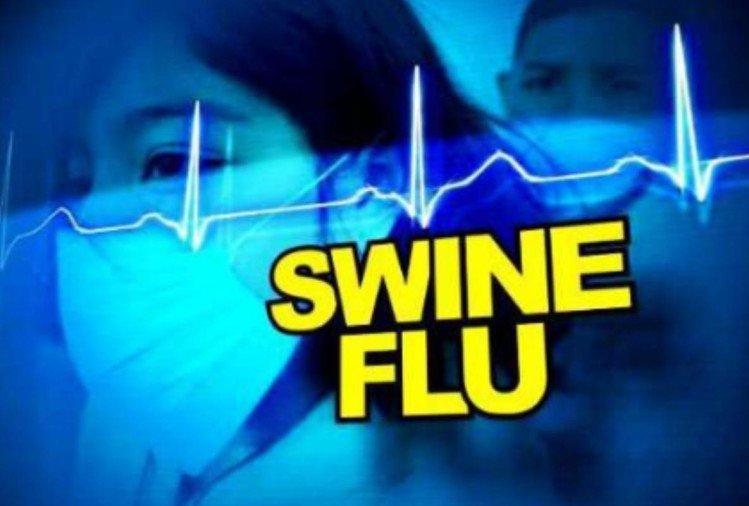 swine-flu