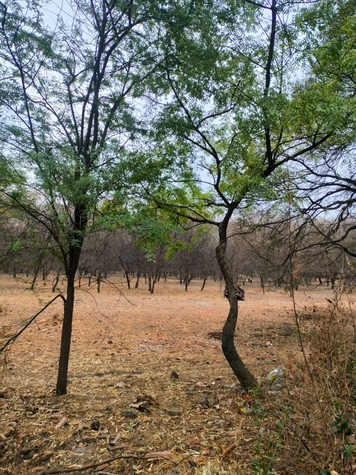 IMG 20250504 WA0056