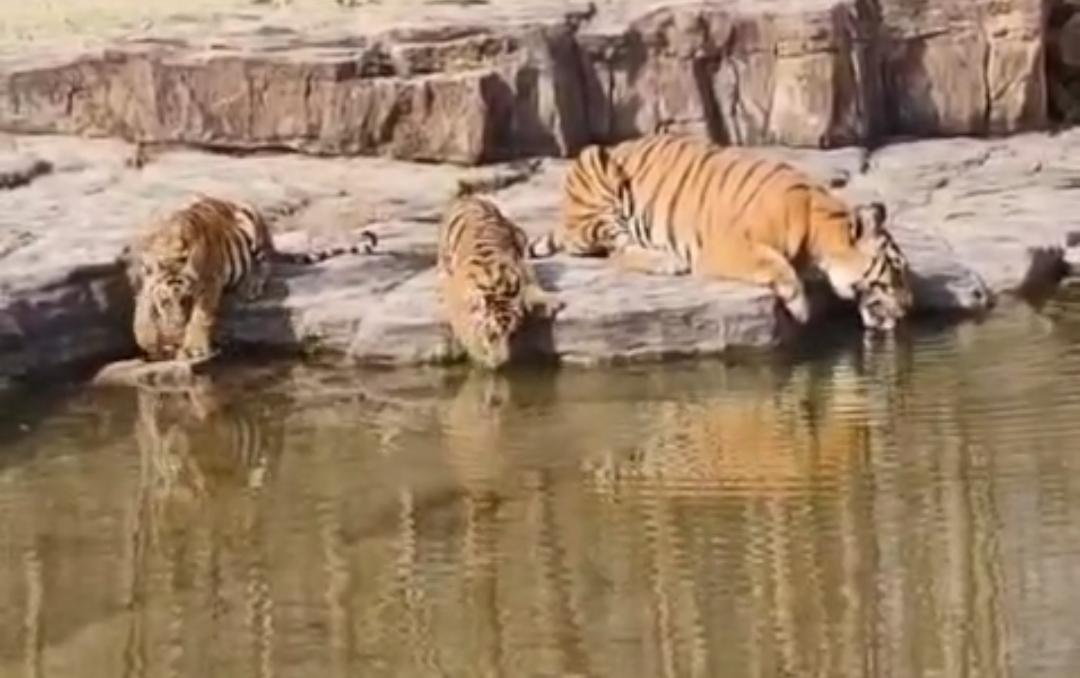 IMG-20250524-WA0105