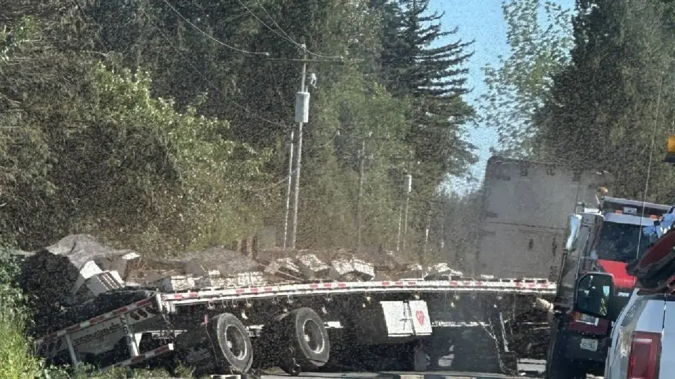 25-crore-bees-died-due-to-truck-overturning-in-america-police-issued-warning-video-went-viral-1692341848