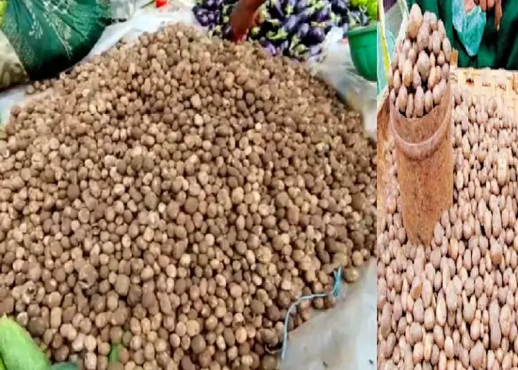 CG-Bastar-Boda-Sabji-Price-750x536