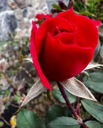 IMG-20250628-WA0122