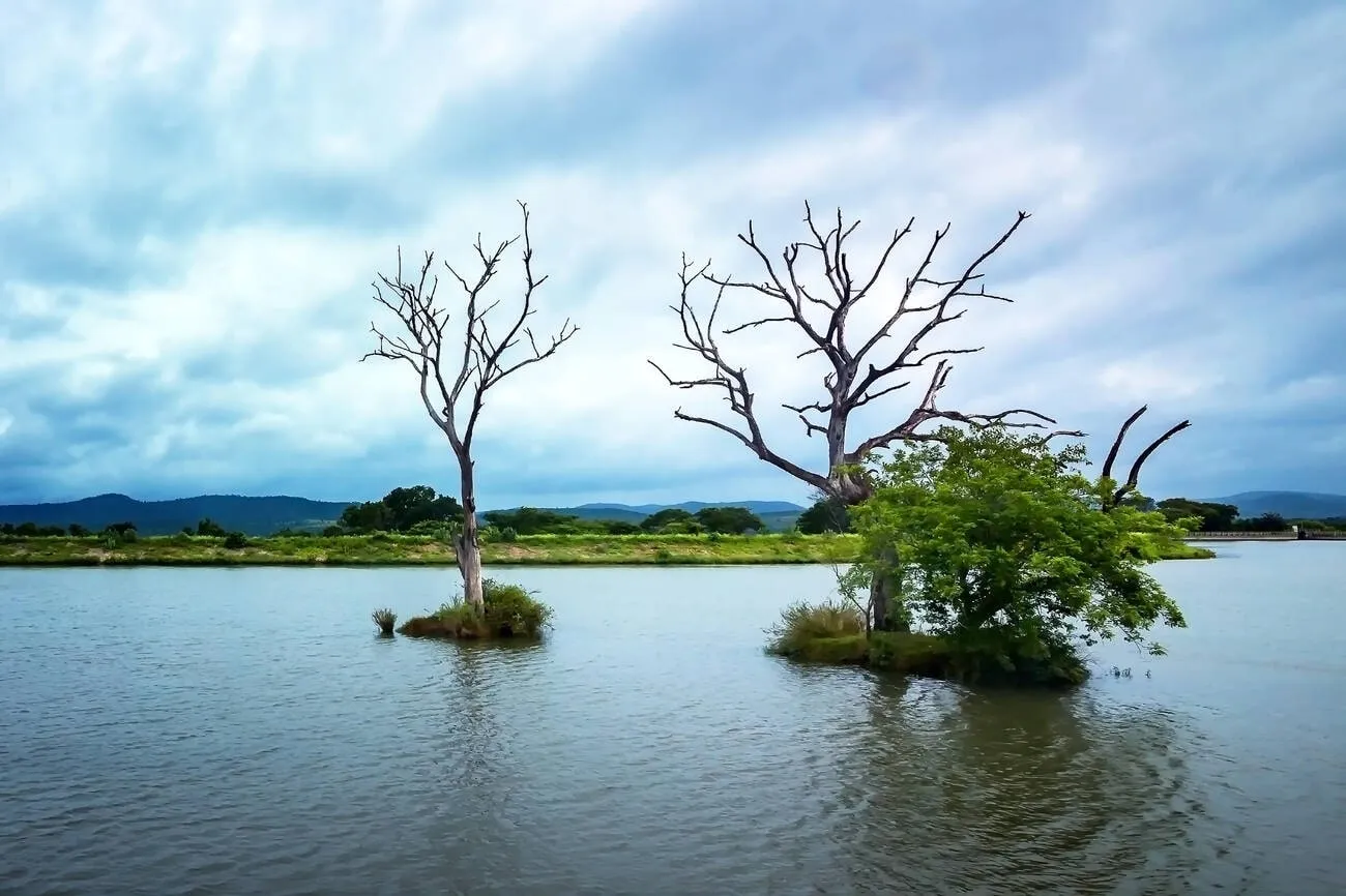 Indore: choral-dam-min Indore: