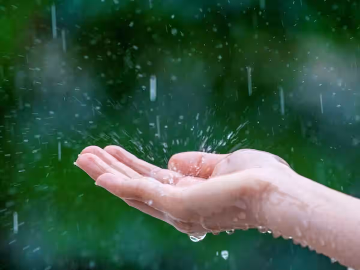 183306 rain 3 183306 rain 3
