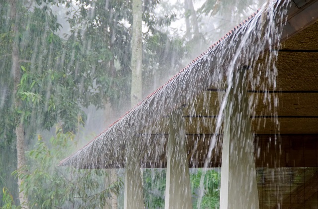 2024_6image_13_47_397873706rain