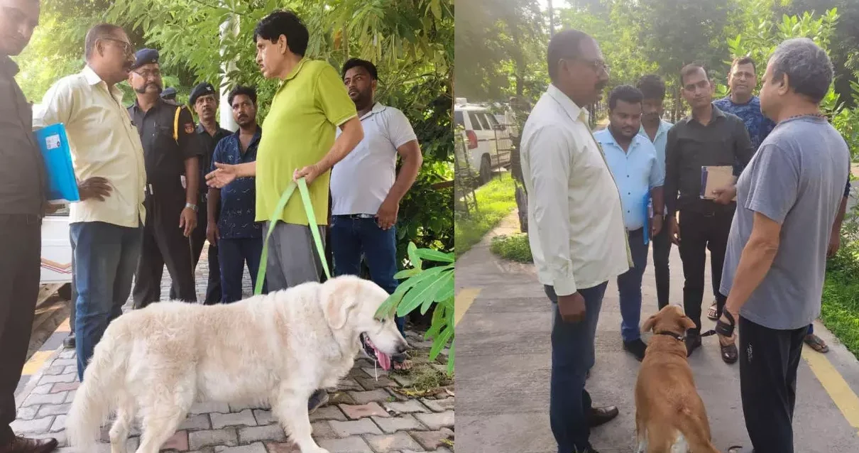 Dog controversy: Dog controversy:
