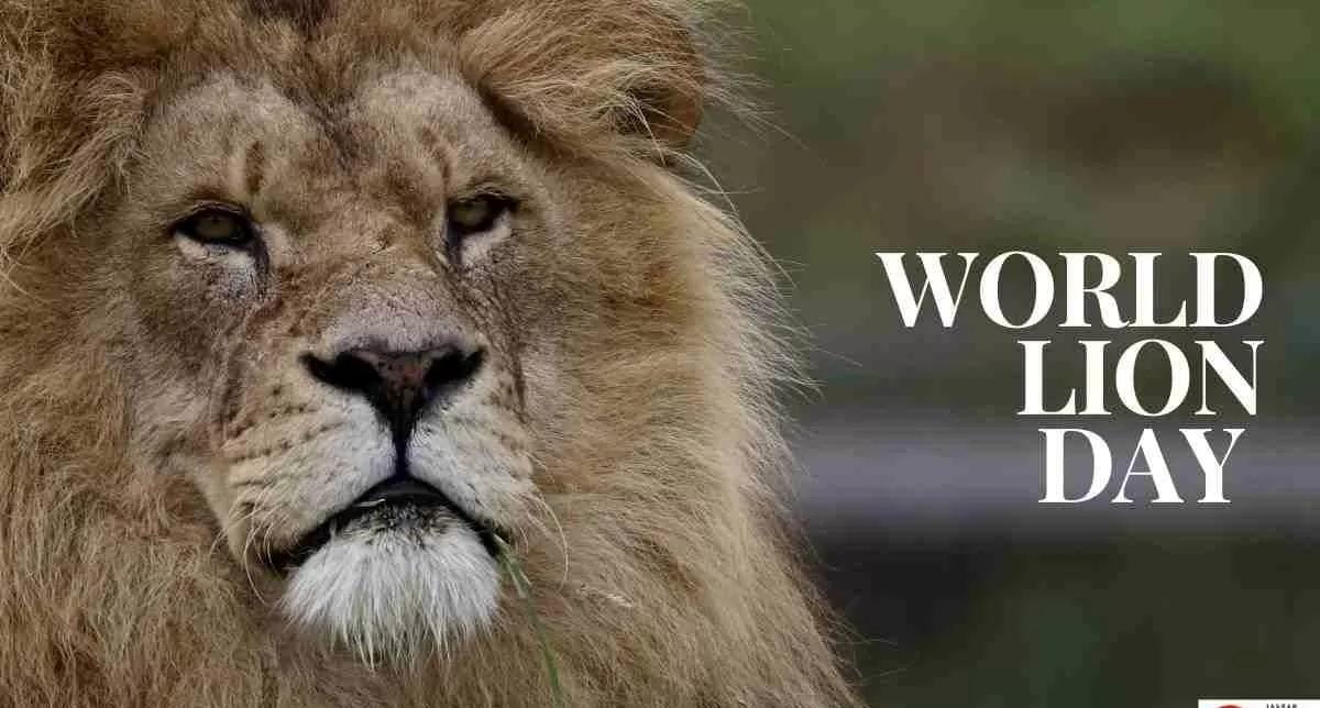 IMG 20250810 WA0077 10th August World Lion Day