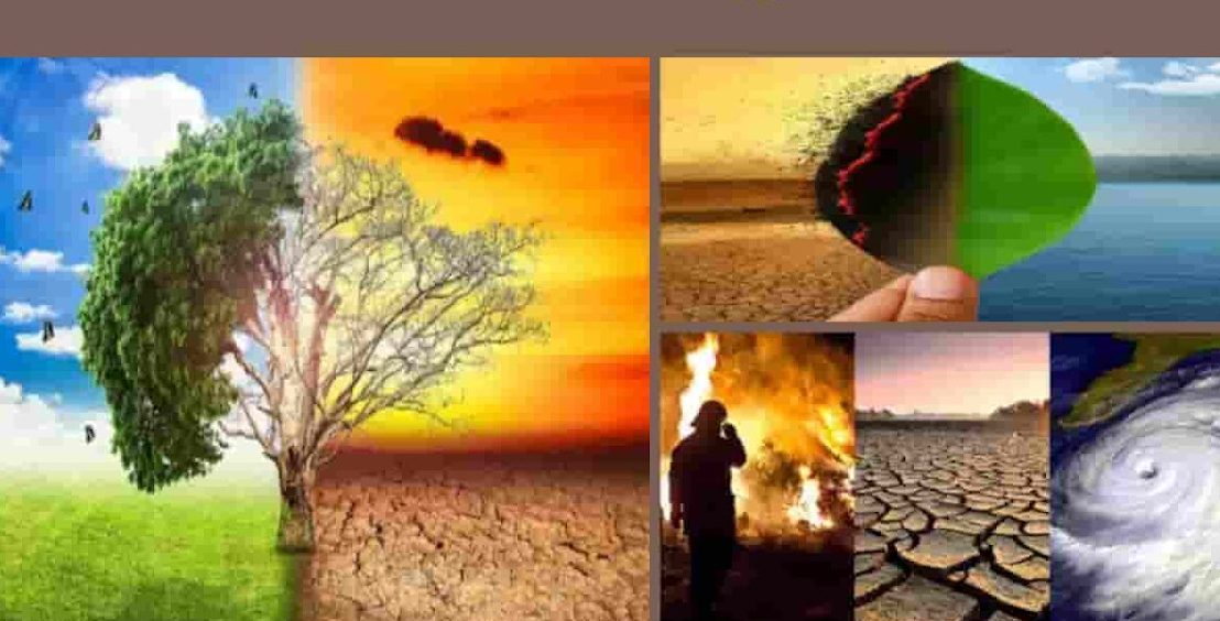 Climate Guilt Climate Guilt