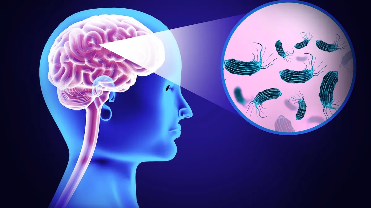 Brain-Eating Amoeba Brain-Eating Amoeba