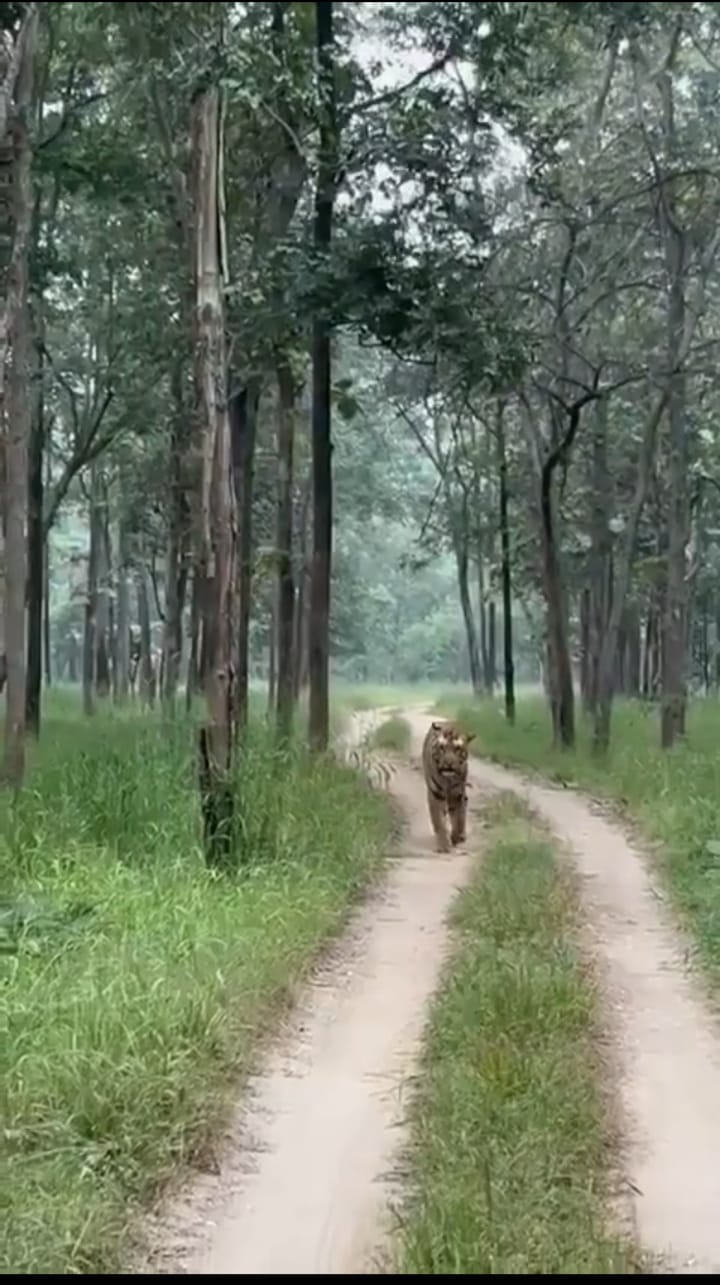 WhatsApp Image 2025-10-18 at 11.23.07