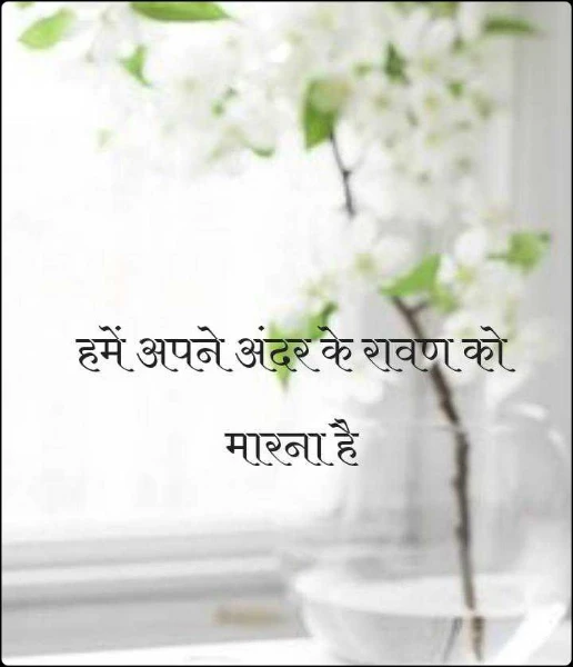 cover cover