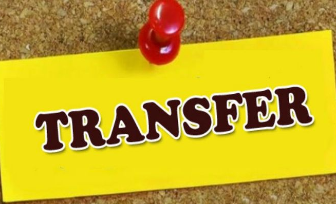 transfer_1733898493