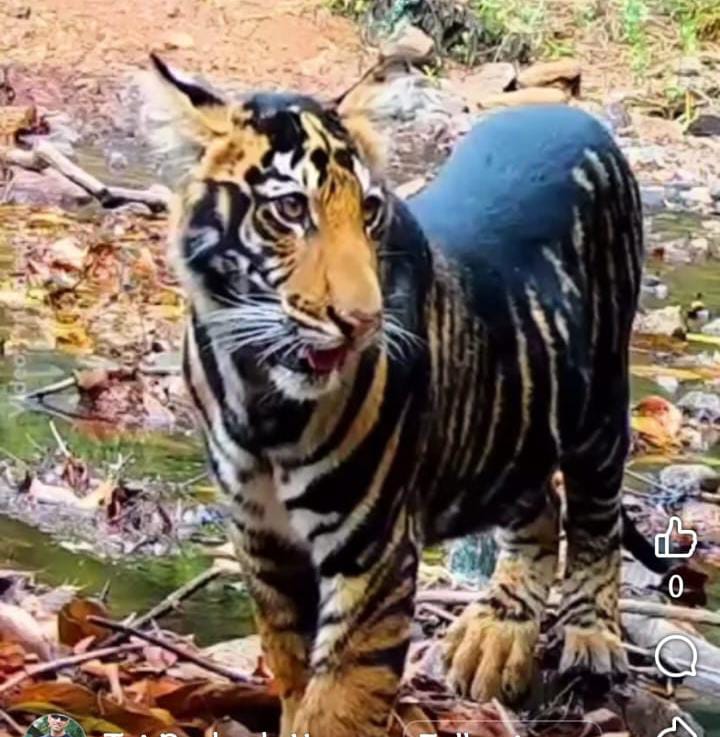 WhatsApp Image 2025 11 26 at 17.01.54 WhatsApp Image 2025 11 26 at 17.01.54