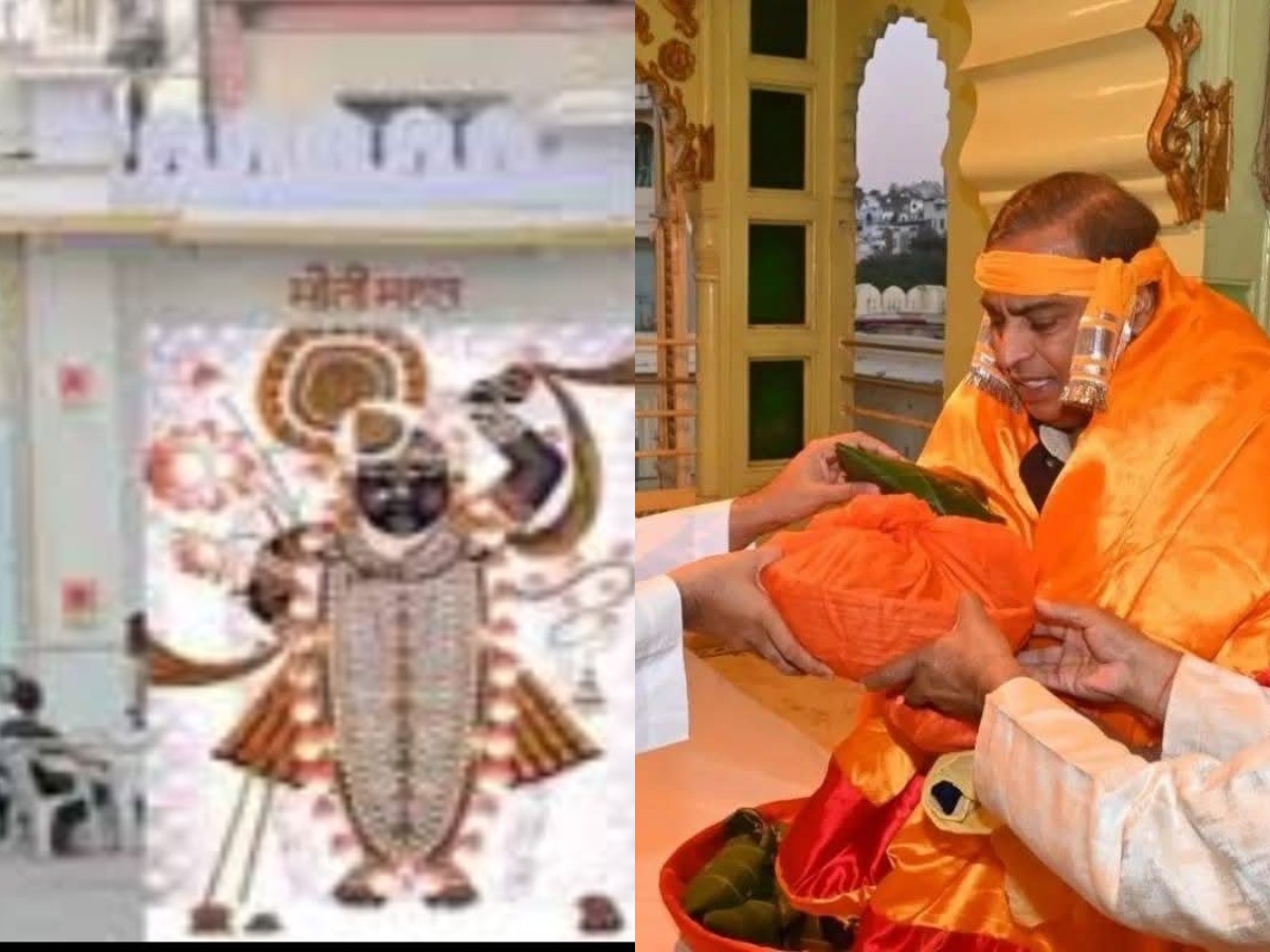 collage (11) (31)