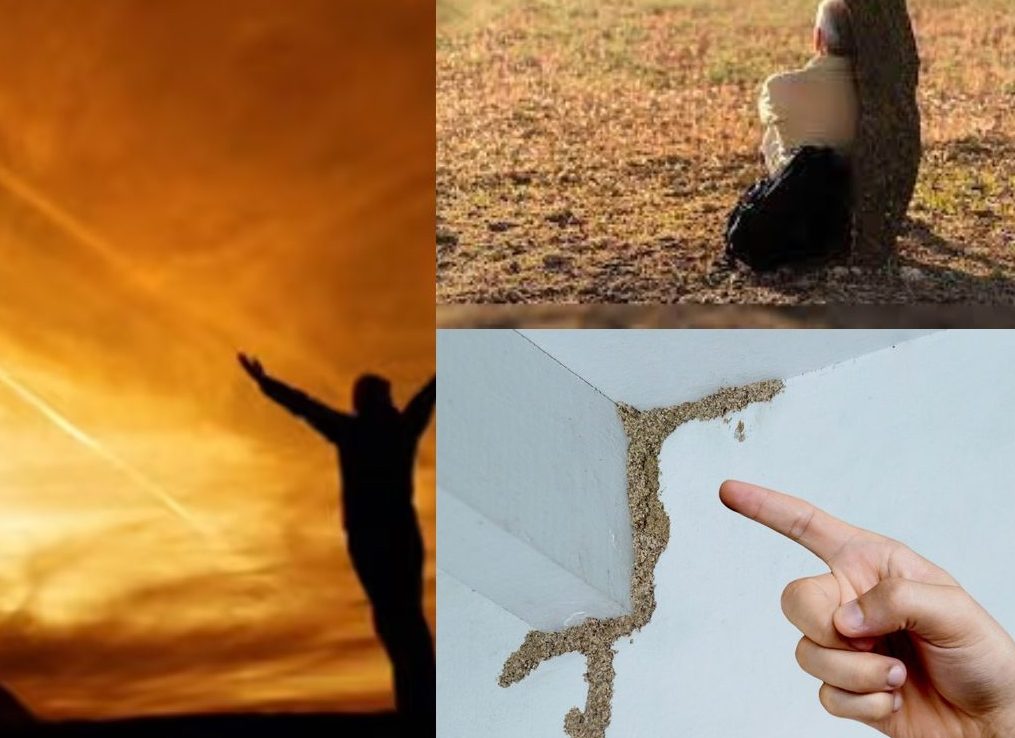 collage