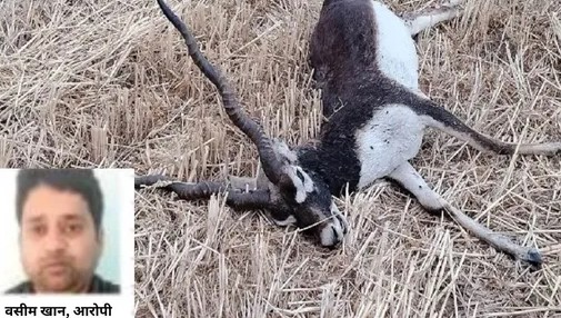 mp-blackbuck-hunt-2-2025-12-06-08-19-24