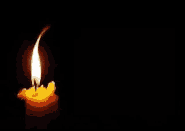 shradhanjali bhavpooran shradhanjali bhavpooran
