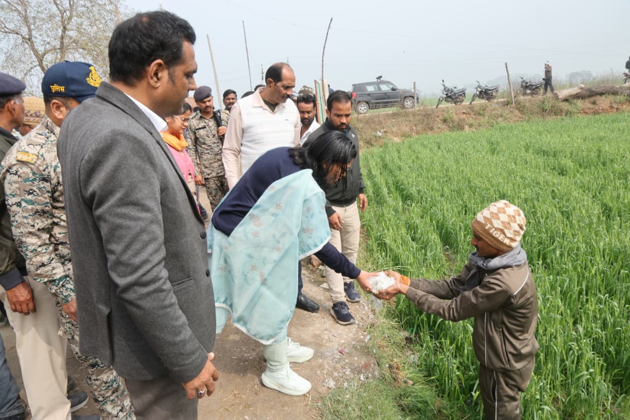 WhatsApp Image 2026-02-03 at 17.17.03 (1) WhatsApp Image 2026 02 03 At 17.17.03 1