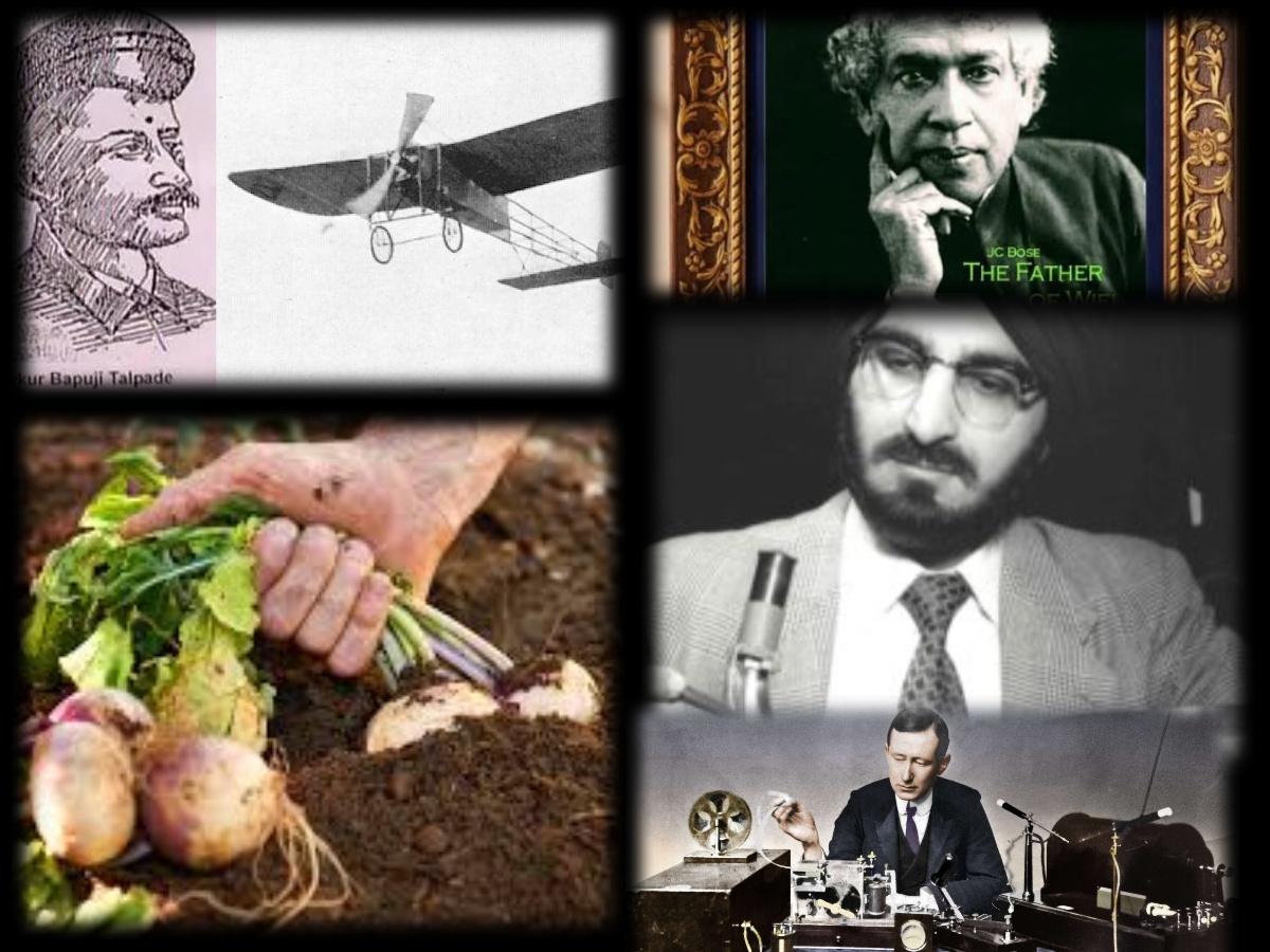 collage