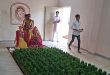 Significance of Chaitra Navratri: चैत्र नवरात्र और जवारे का महत्त्व: आइये जानते हैं बाड़ी क्यों बोई जाती है ?