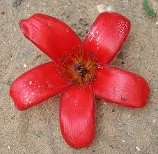 images 2 2