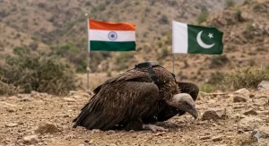 BHOPAL VULTURE RELEASE BHOPAL VULTURE RELEASE
