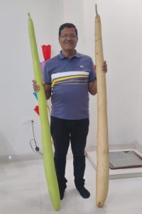 WhatsApp Image 2026 04 08 at 11.01.31 लौकी से लंबाई नापते लेखक - यह चित्र आठ फीट लंबी लौकी ने बनाई पहचान