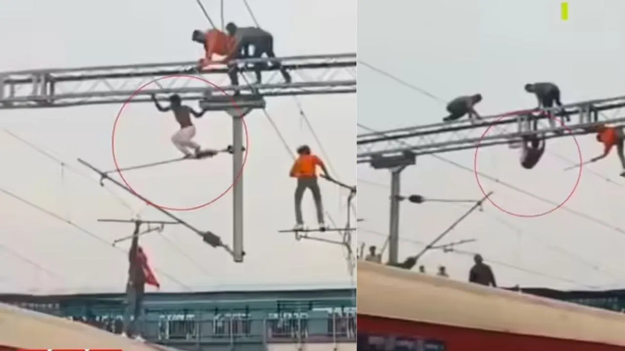 fight-on-electric-wire