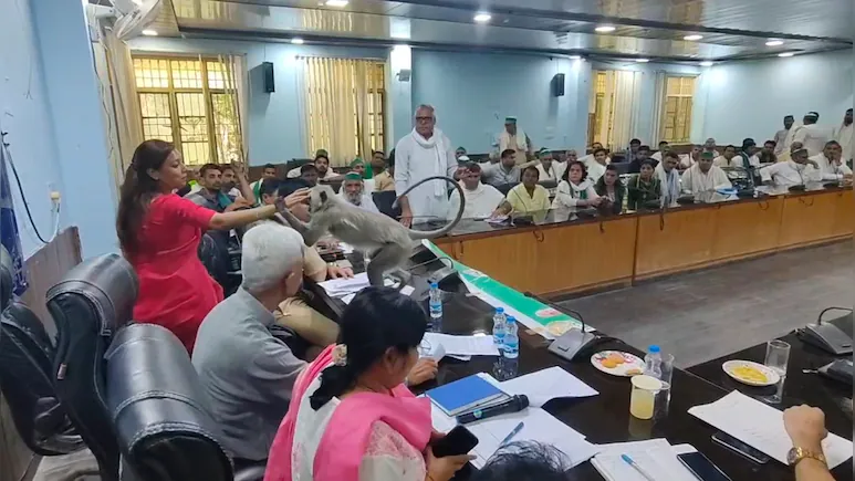 kilrk93_baghpat-dm-leave-chair-for-langoor_625x300_17_April_26 (1)