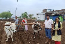 झाबुआ अंचल में प्री-मानसून की फुहार के साथ खेतों में रौनक, किसानों ने शुरू की खरीफ की बोवनी, सोयाबीन- मक्का को प्राथमिकता!