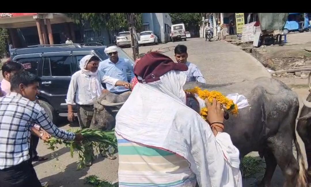 WhatsApp Image 2026 06 09 at 11.21.59 AM