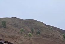 Shocking Tragedy: एक ही पलंग पर सो रहे मामा-भांजे को झोपड़ी की छत से गिरे जहरीले सांप ने डसा; दोनों की आधे घंटे में मौत Shocking Tragedy: एक ही - Shocking Tragedy: एक ही पलंग पर सो रहे मामा-भांजे को झोपड़ी की छत से गिरे जहरीले सांप ने डसा;…